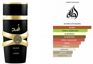 Asad 100ml Lattafa